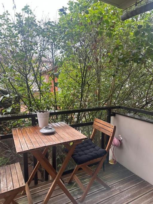 Jardin Des Plantes Parking Securise Terrasse Et Ascenseur Apartment Toulouse Exterior photo