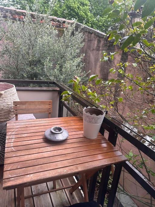 Jardin Des Plantes Parking Securise Terrasse Et Ascenseur Apartment Toulouse Exterior photo